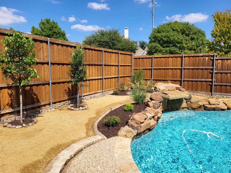 Trees recommended to plant around swimming pools