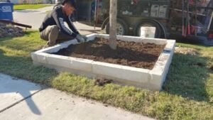 Landscape Worker Adding Soil Around New Plants