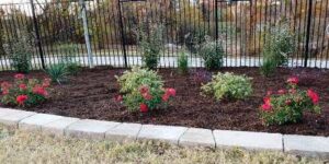 Flower Bed Edging with New Landscaping Plants