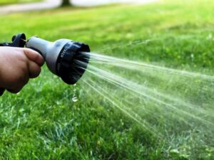 Watering grass with sprayer