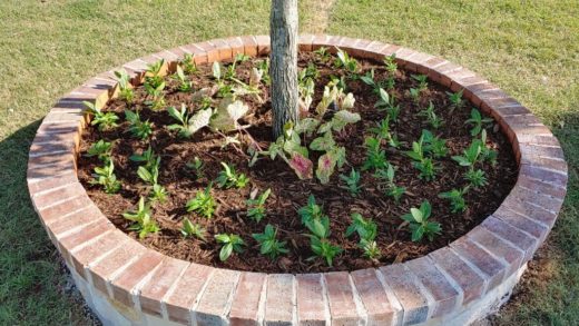How to Prevent Grass in Flower Beds