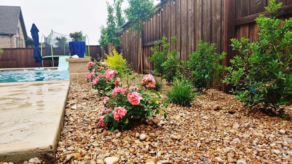 Landscaping Project in Frisco Texas by Sol Vida Landscaping
