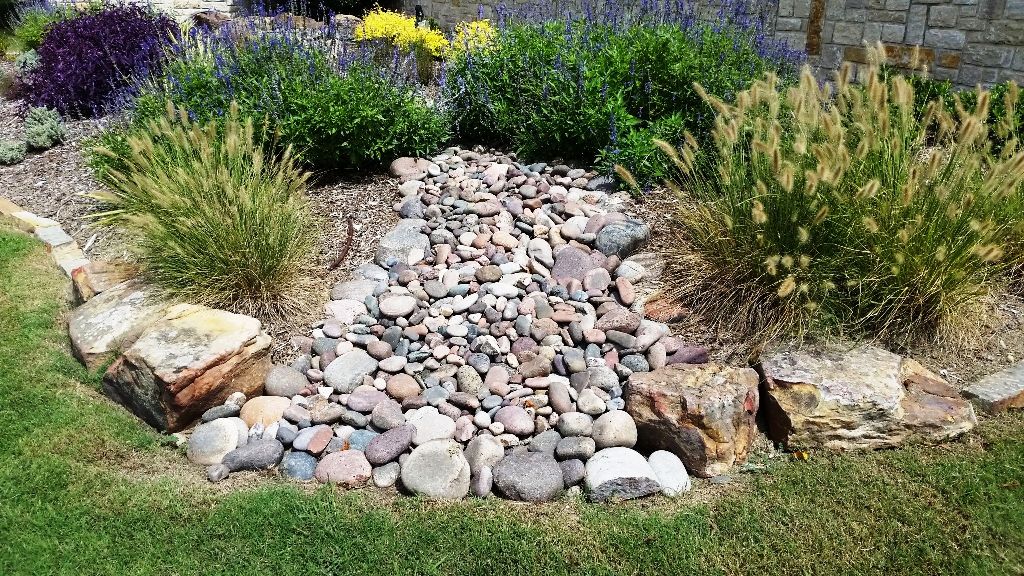 Summer Landscaping Projects North Texas, Best Texas Landscape Plants