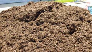 Protect Plants from Frost with Mulch