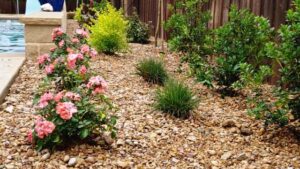 Best Landscaping Rocks to Install Around a Pool