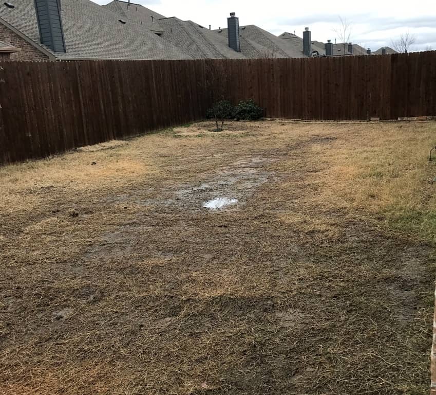 Standing Water in a Yard