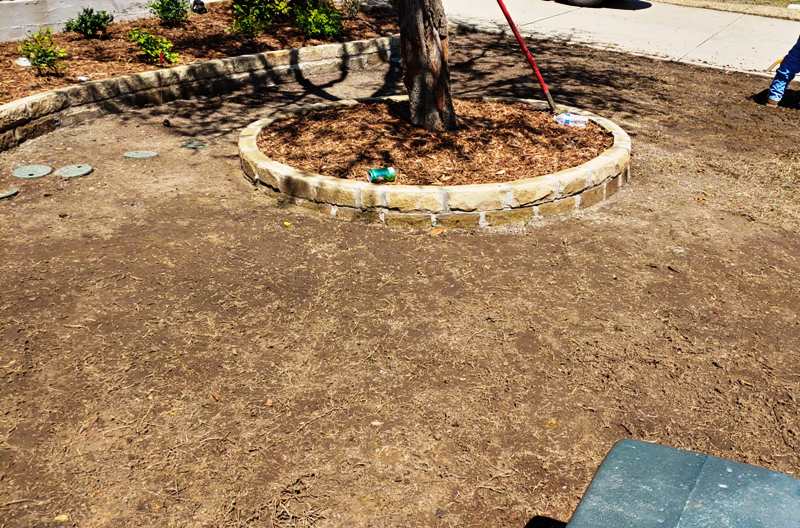 Grass Not Growing in Side Yard